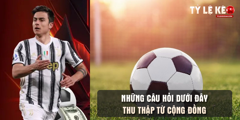 Những câu hỏi dưới đây thu thập từ cộng đồng