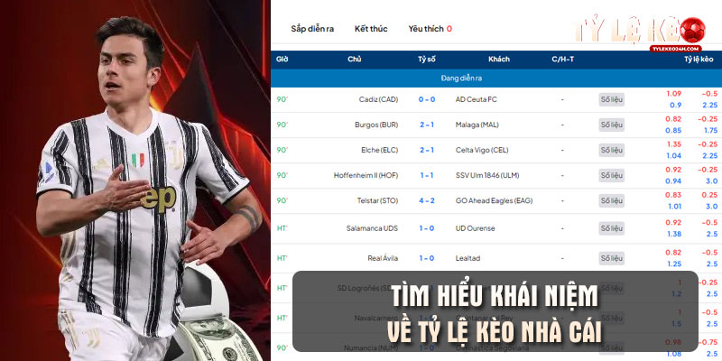 Tìm hiểu khái niệm về tỷ lệ kèo nhà cái